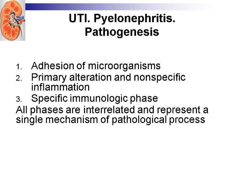 UTI. Pyelonephritis. Pathogenesis  Adhesion of microorganisms Primary alteration and nonspecific inflammation Specific immunologic